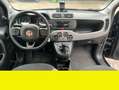 Fiat Panda Fiat Panda 1.0 FireFly S&S Hybrid City Life Nero - thumbnail 7