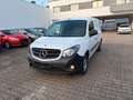 Mercedes-Benz Citan Kasten 109 CDI Extralang Weiß - thumbnail 1