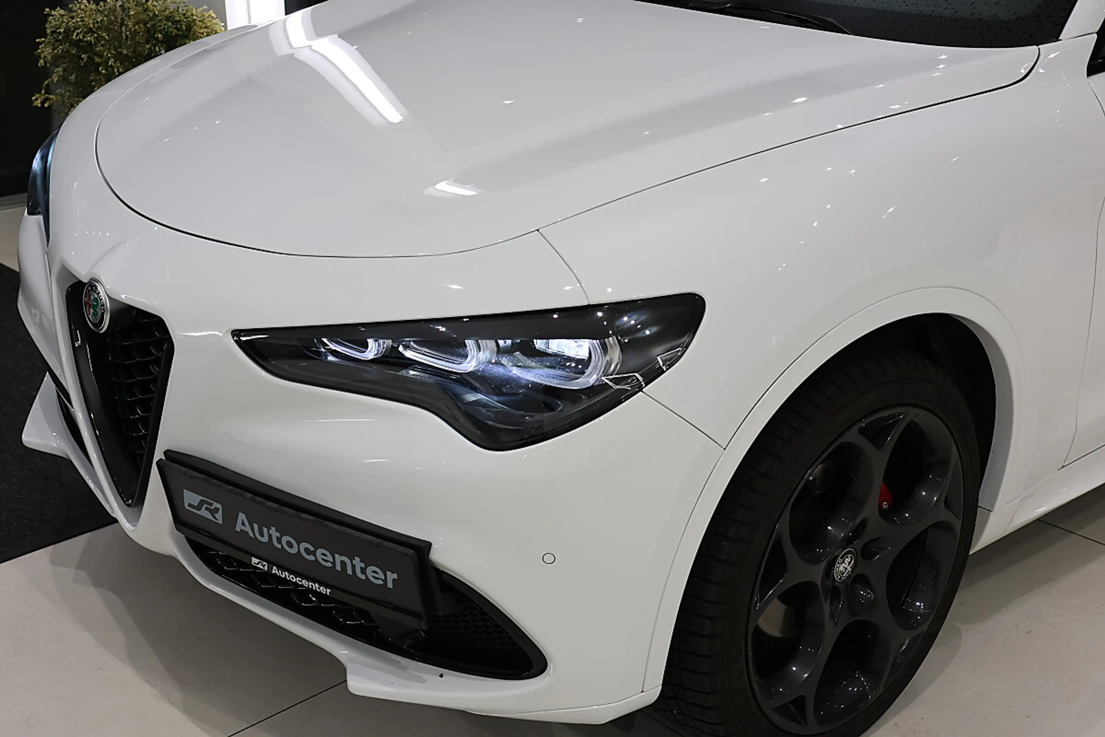 Alfa Romeo Stelvio B-Tech 2,2 ATX AWD — photo 2