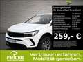 Opel Grandland GS Line+AHK+MatrixLicht+Navi+Alcantara Blanco - thumbnail 1