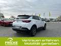 Opel Grandland GS Line+AHK+MatrixLicht+Navi+Alcantara Blanco - thumbnail 5