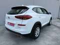 Hyundai TUCSON 1.6 CRDi 116cv 48V Blanc - thumbnail 4