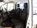 Ford Transit Custom *ALUCA AUSBAU *MWST *LEASING *ERSTBESITZ *TOP Weiß - thumbnail 23