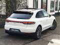 Porsche Macan 2.0 | Panoramadak | Bose | Luchtvering | Adaptieve Wit - thumbnail 5