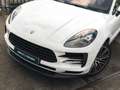 Porsche Macan 2.0 | Panoramadak | Bose | Luchtvering | Adaptieve Wit - thumbnail 36