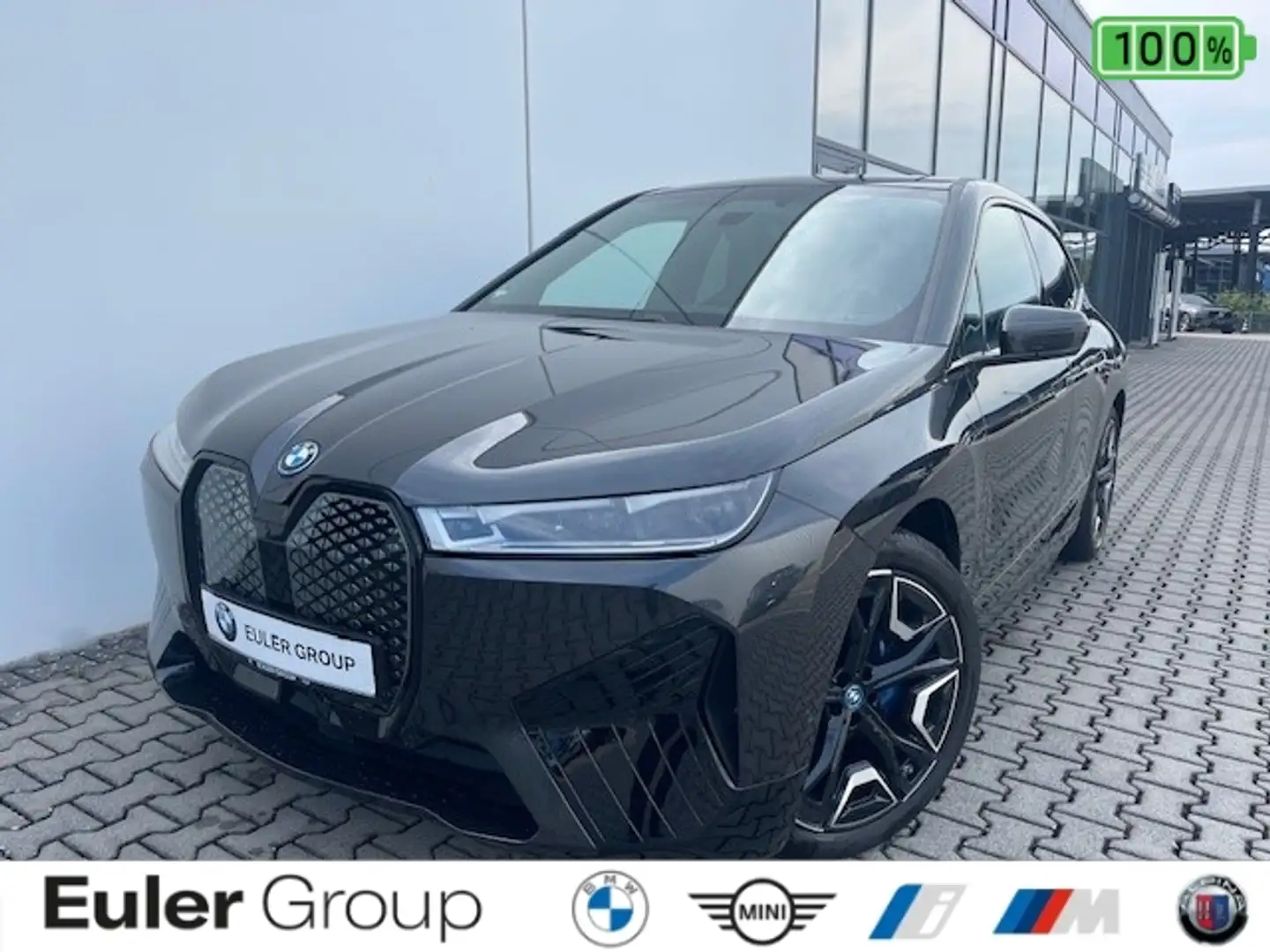 BMW iX xDrive 40 DriveAssProf Parkass+ H/K LCProf Grau - 1