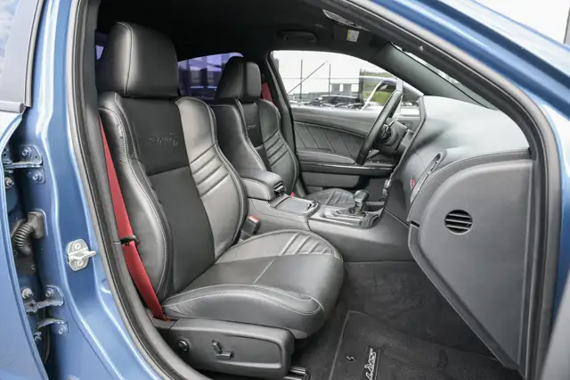 Dodge Charger view 13