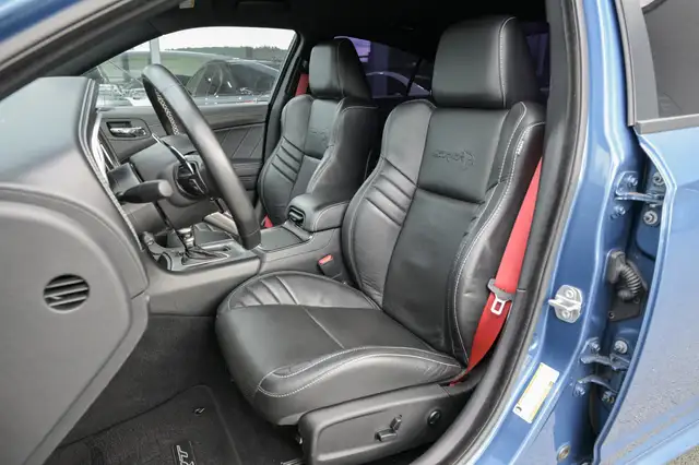 Dodge Charger view 12