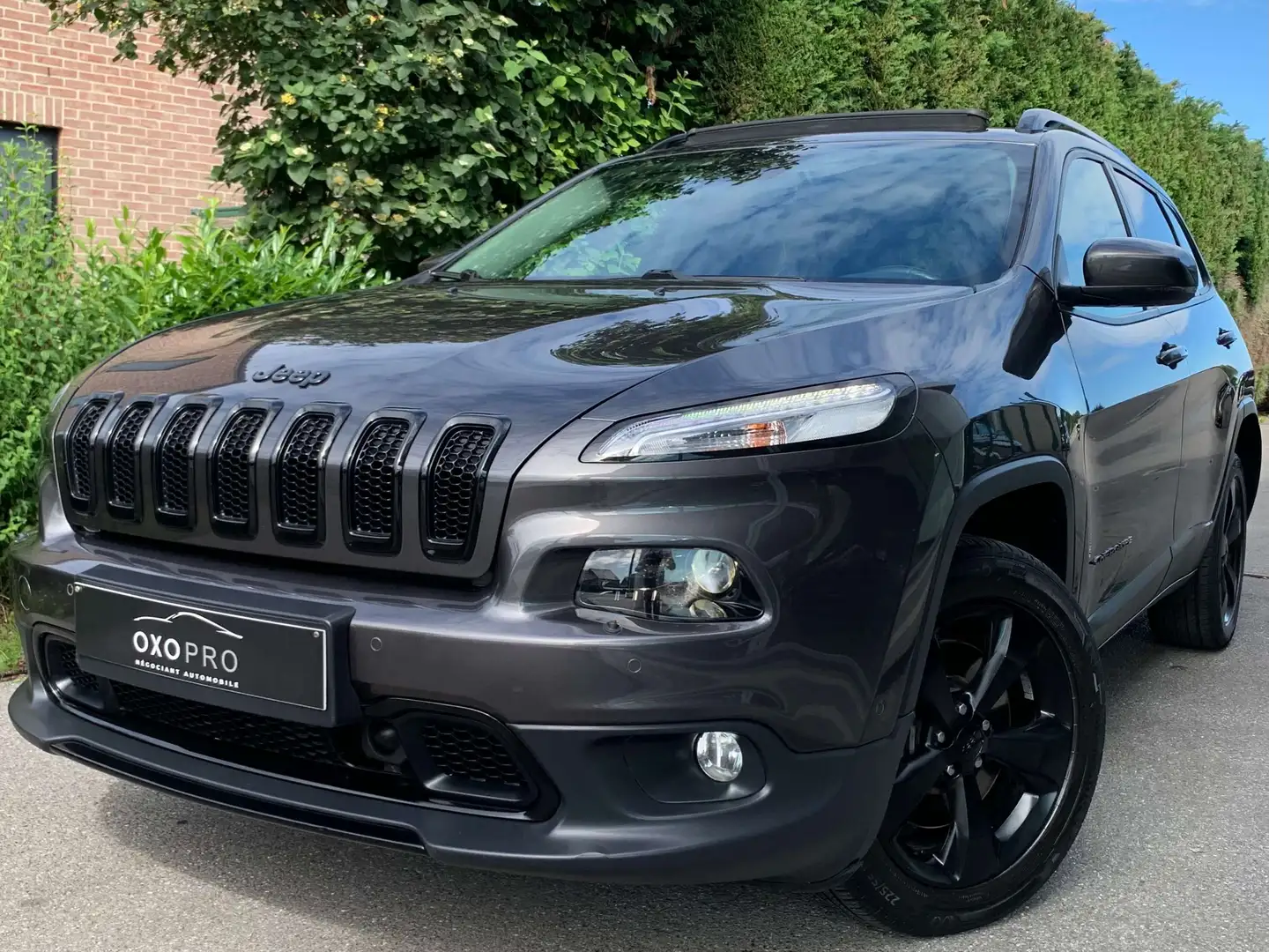 Jeep Cherokee 2.2D 200CV / 4x4 / Boite Auto / FULL OPTIONS / Gris - 1