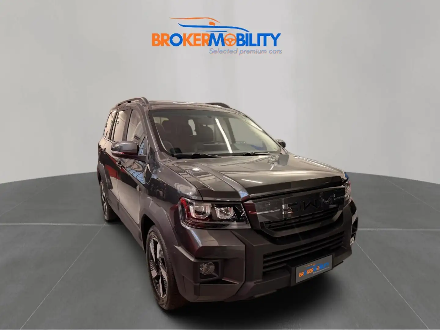 SWM G03F Super Hybrid 1.5 phev ecvt Grau - 2