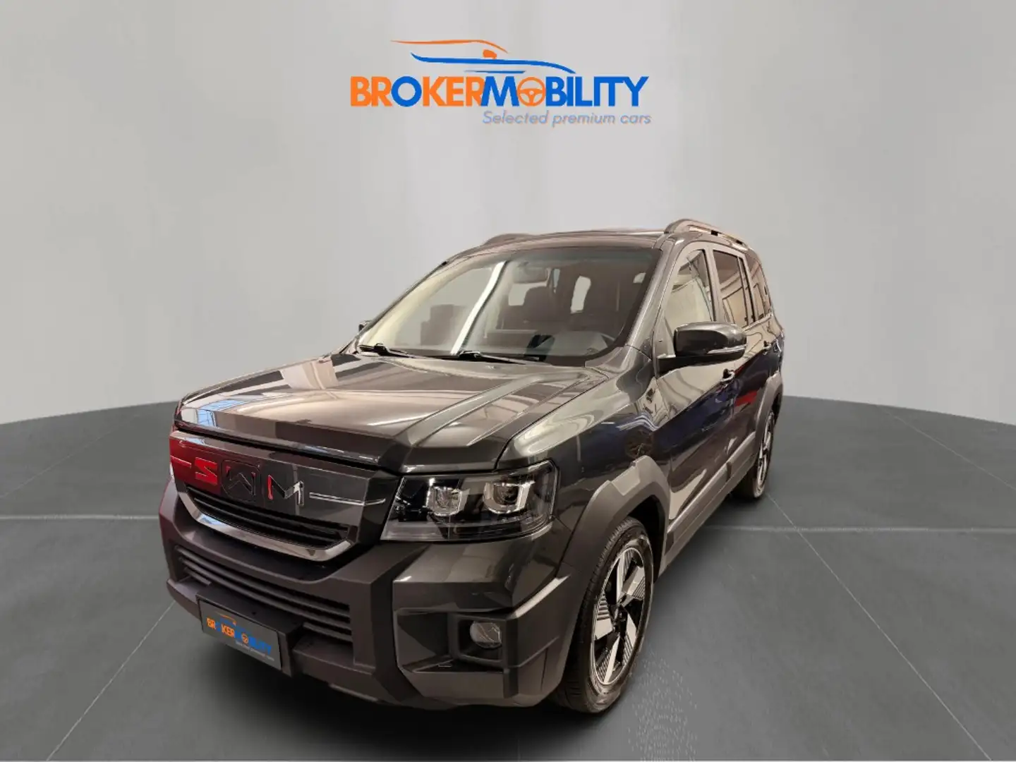 SWM G03F Super Hybrid 1.5 phev ecvt Grau - 1