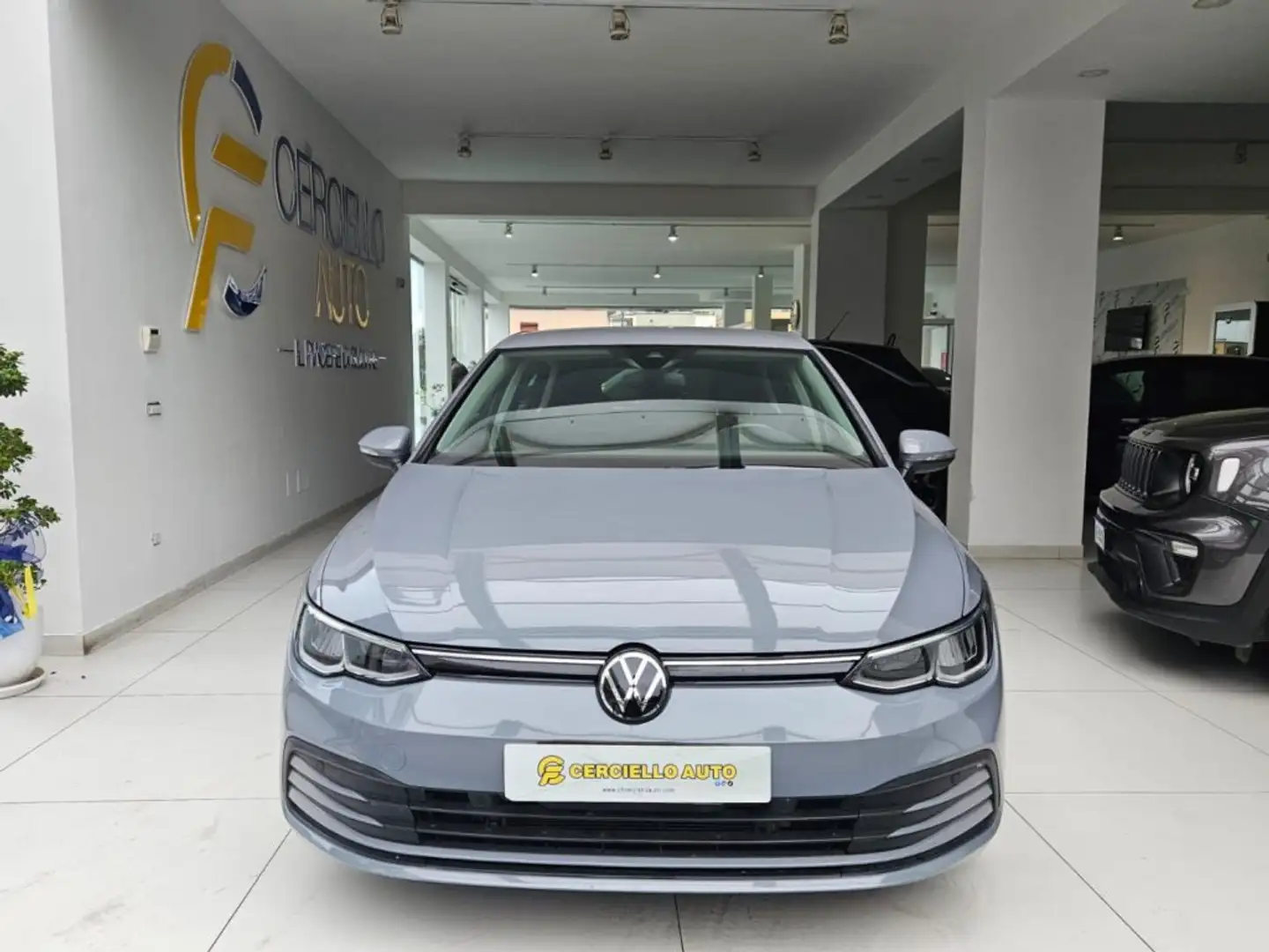 Volkswagen Golf 1.0 TSI EVO Life tua da €149,00 mensili Grigio - 1