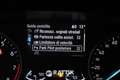 Ford EcoSport 1.0 Ecoboost 125CV Active Gris - thumbnail 16