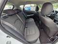 Kia Ceed / cee'd 1.4 Edition Alufelgen Weiß - thumbnail 13