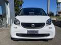 smart forTwo Fortwo 1.0 Passion 71cvTwinamic+ClimaAut+LED+Bluet Bianco - thumbnail 2