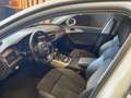 Audi A6 allroad A6 Allroad 3.0 tdi Business Plus quattro tiptronic Blanc - thumbnail 8