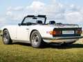 Triumph TR6 Carburator SU - 125 CV - renovated Blanc - thumbnail 3