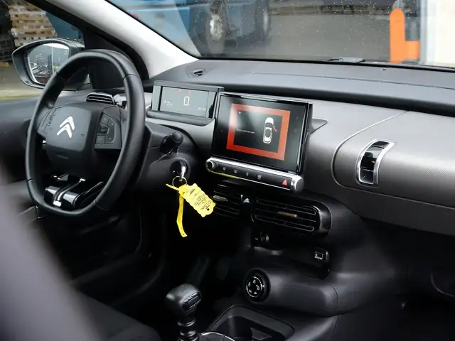 Citroen C4 Cactus view 10