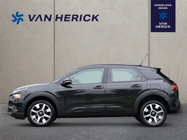 Citroen C4 Cactus view 2