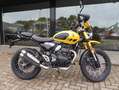 Triumph Scrambler 400 XC De nieuwe Scrambler 400 XC Geel - thumbnail 1
