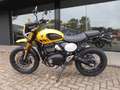 Triumph Scrambler 400 XC De nieuwe Scrambler 400 XC Geel - thumbnail 6