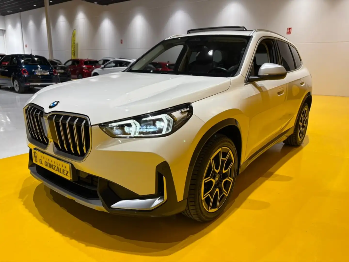 BMW X1 xDrive 20dA xLine Blanco - 2