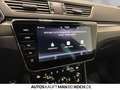 Skoda Superb Combi 2.0 TSI DSG Sportline PARKL MATRIX Weiß - thumbnail 19