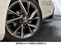 Skoda Superb Combi 2.0 TSI DSG Sportline PARKL MATRIX Weiß - thumbnail 17