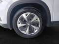 Skoda Kodiaq 4x4 Selection TDI DSG Weiß - thumbnail 18