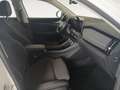 Skoda Kodiaq 4x4 Selection TDI DSG Weiß - thumbnail 14