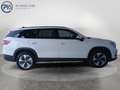 Skoda Kodiaq 4x4 Selection TDI DSG Weiß - thumbnail 6