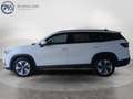 Skoda Kodiaq 4x4 Selection TDI DSG Weiß - thumbnail 2