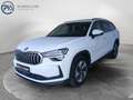 Skoda Kodiaq 4x4 Selection TDI DSG Weiß - thumbnail 1