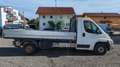 Citroen Jumper Pritsche 33 L3 HDi 110 FAP*TÜV 10/23* Blanc - thumbnail 6