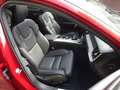 Volvo V60 CC Pro AWD/Pano/HUD/360°/ACC/Memory/Black Rojo - thumbnail 7