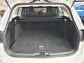 Ford Focus Turnier 1.5 EcoBlue Cool & Conn. LED/NAVI Blanc - thumbnail 20