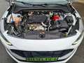 Ford Focus Turnier 1.5 EcoBlue Cool & Conn. LED/NAVI Blanc - thumbnail 18