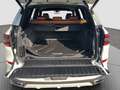 BMW X5 xDrive 30d Weiß - thumbnail 17