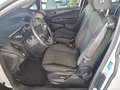 Ford B-Max B-MAX EcoBoost Trend m. Klima/WiPa/1. Hand Blanc - thumbnail 16