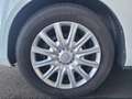 Ford B-Max B-MAX EcoBoost Trend m. Klima/WiPa/1. Hand Blanc - thumbnail 22