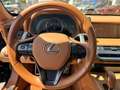 Lexus LC 500 3.5 Hybrid Luxury     IVA ESPOSTA Schwarz - thumbnail 14