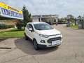 Ford EcoSport 1.5 tdci 90 cv "GARANZIA 1 ANNO" White - thumbnail 2