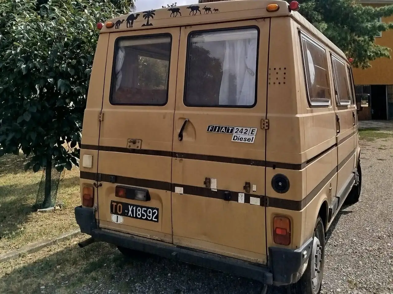 Fiat 242 2500 Diesel, foto 3