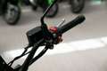 Benelli Leoncino 800  Trail ABS, sofort lieferbar Grau - thumbnail 20