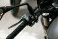 Benelli Leoncino 800  Trail ABS, sofort lieferbar Grau - thumbnail 19