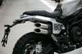 Benelli Leoncino 800  Trail ABS, sofort lieferbar Grau - thumbnail 14