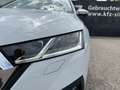 Skoda Octavia Combi 2,0 TDI Style DSG | € 47.200 Weiß - thumbnail 40