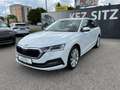 Skoda Octavia Combi 2,0 TDI Style DSG | € 47.200 Weiß - thumbnail 7