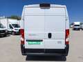 Fiat Ducato Fg. 33 2.3Mjt L2 H2 120CV Blanco - thumbnail 9