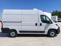 Fiat Ducato Fg. 33 2.3Mjt L2 H2 120CV Blanco - thumbnail 5